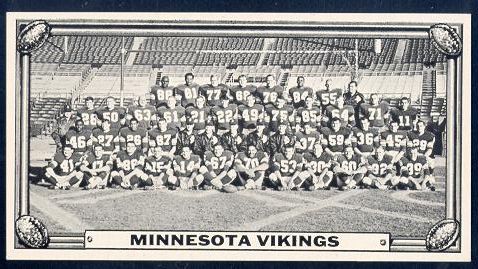 19 Minnesota Vikings